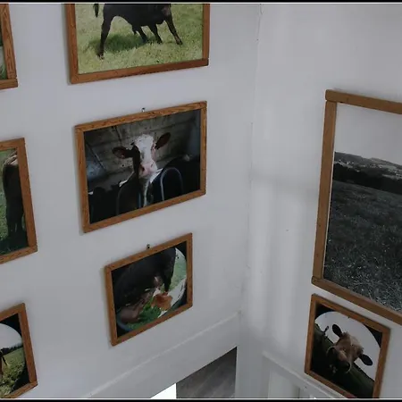 Hotel Artfarm Hotel Wiehl