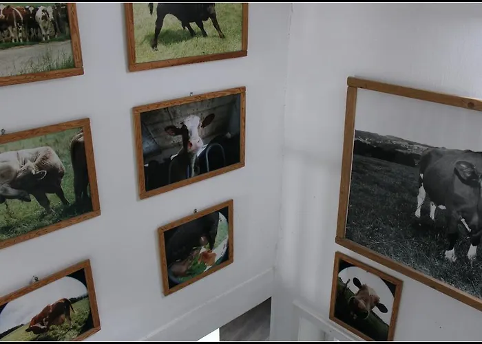 艺田酒店 酒店 维尔